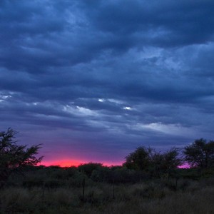 Cheetau Safaris South Africa