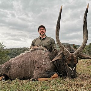 Hunt Nyala in South Africa