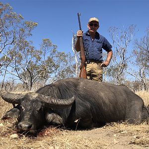 Hunting Asiatic Water Buffalo in Australia