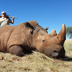 South Africa Hunt White Rhino