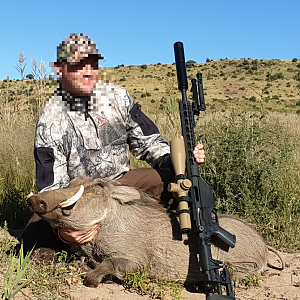 Warthog Hunt South Africa