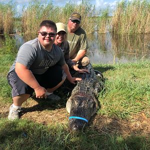 Little Texas Hunting Alligator