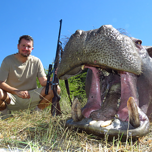 Hippo Hunt Namibia