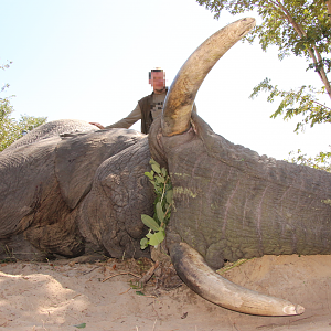 Namibia Hunting Elephant