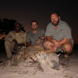 Namibia Hunting Spotted Hyena