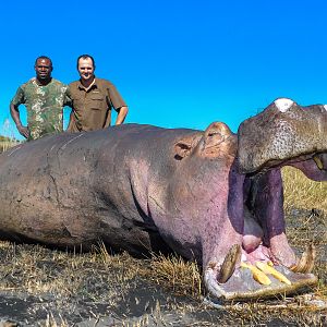 Namibia Hunting Hippo