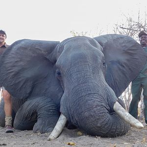 Hunt Elephant in Namibia