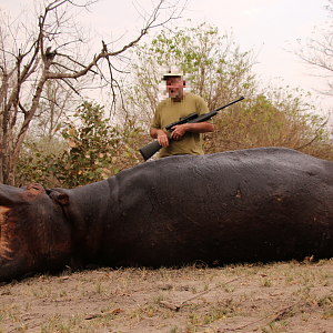 Hippo Hunt Namibia