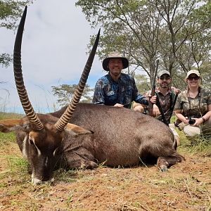 Hunt Waterbuck in South Africa