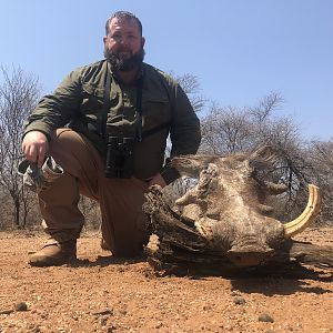 Warthog Hunting South Africa