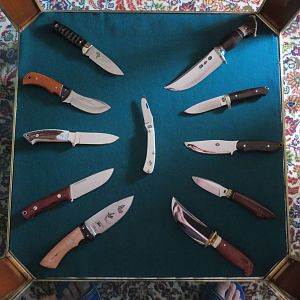 Knives in Coffee table display case AfricaHunting