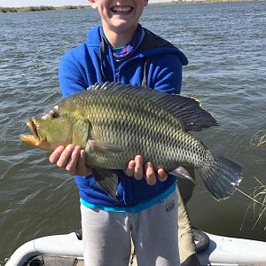 Bream Fishing Zimbabwe