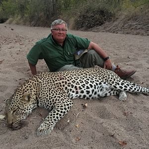 Hunt Leopard in Zimbabwe