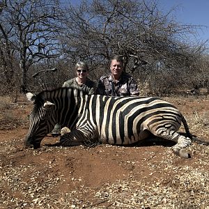 Bow Hunting Burchell's Plain Zebra in South Africa