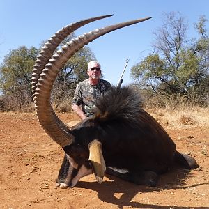 South Africa Hunting Sable