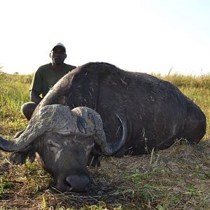 Hunting Cape Buffalo in Mozambique