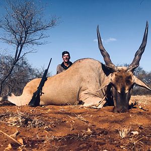 South Africa Hunt Eland