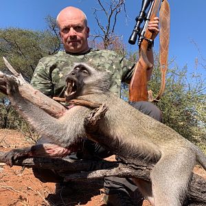 South Africa Hunting Vervet Monkey