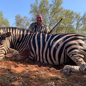 Burchell's Plain Zebra Hunt South Africa