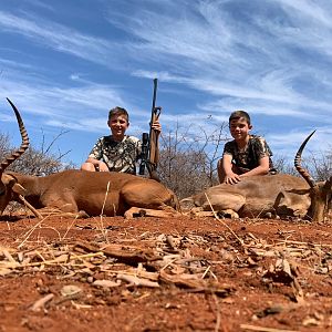 South Africa Hunt Impala