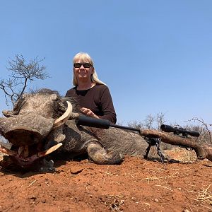 Warthog Hunting South Africa