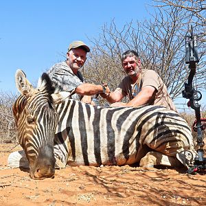 Bow Hunt Burchell's Plain Zebra in Namibia