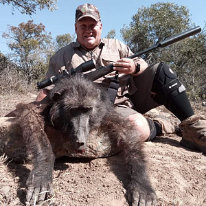 Hunting Baboon in South Africa