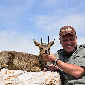 South Africa Hunt Klipspringer