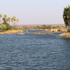 Zambezi River Zimbabwe