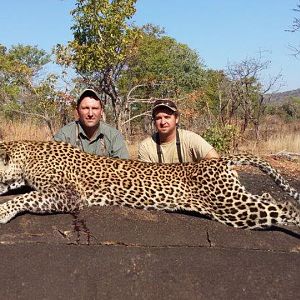 Mozambique Hunting Leopard