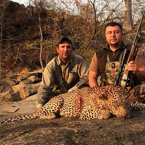 Mozambique Hunting Leopard