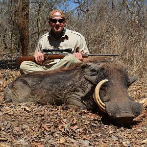 Warthog Hunting Mozambique