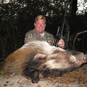 Hunt Bushpig in Mozambique