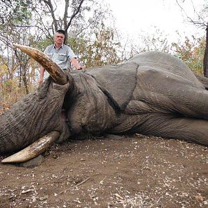 Elephant Hunt Mozambique