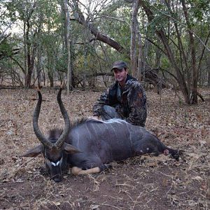 Hunt Nyala in Mozambique