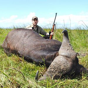 Hunting Buffalo in Mozambique