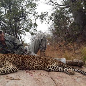 Hunting Leopard in Mozambique