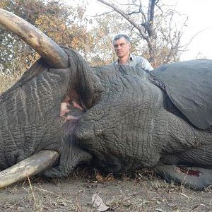 Elephant Hunting Mozambique