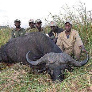 Cape Buffalo Hunting Mozambique