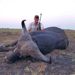 Mozambique Hunting Buffalo