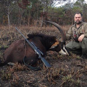 Sable Antelope Hunt Mozambique