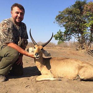 Reedbuck Hunting Mozambique