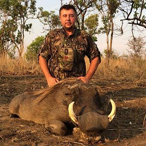 Hunt Warthog in Mozambique