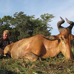 Lichtenstein's Hartebeest Hunt Mozambique