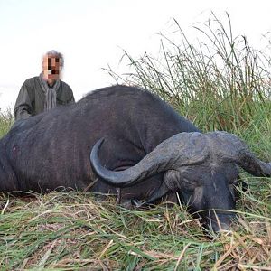 Hunting Cape Buffalo in Mozambique