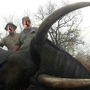 Mozambique Hunt Elephant