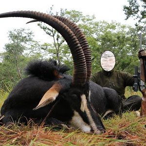 Mozambique Hunt Sable Antelope