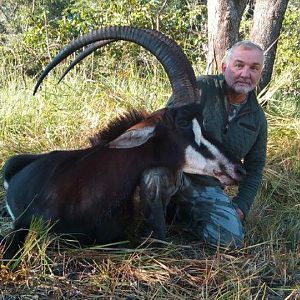 Sable Hunting Mozambique