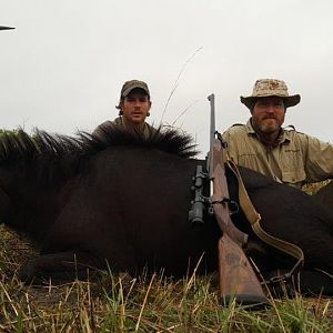 Hunt Sable Antelope in Mozambique