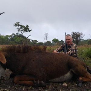 Mozambique Hunting Sable Antelope